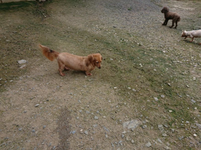 f:id:roukenhome-ann:20190726153156j:plain