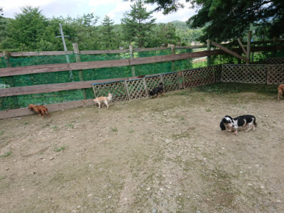 f:id:roukenhome-ann:20190726153202j:plain