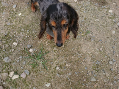 f:id:roukenhome-ann:20190726153241j:plain