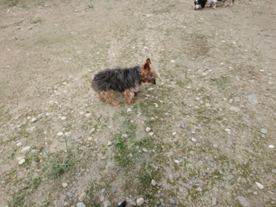 f:id:roukenhome-ann:20190726153347j:plain