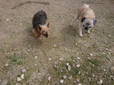 f:id:roukenhome-ann:20190726153445j:plain