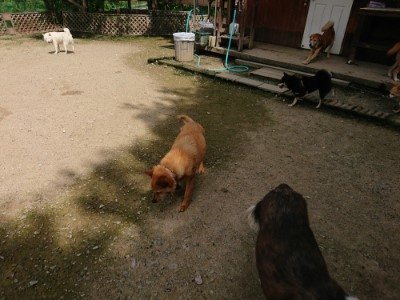 f:id:roukenhome-ann:20190726170703j:plain