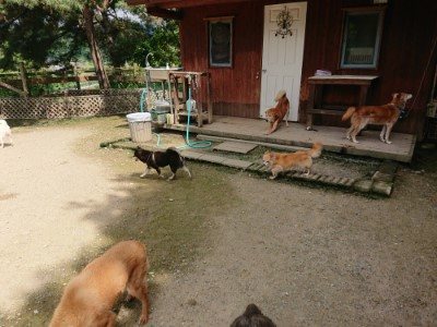 f:id:roukenhome-ann:20190726170707j:plain