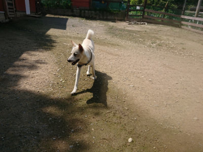f:id:roukenhome-ann:20190726170757j:plain