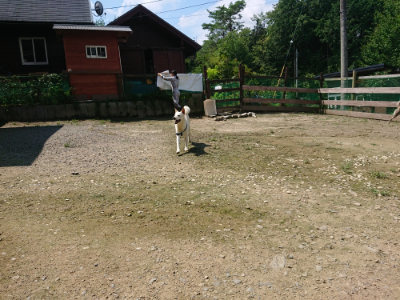 f:id:roukenhome-ann:20190726170904j:plain