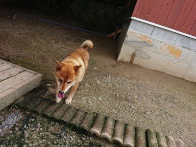 f:id:roukenhome-ann:20190726170932j:plain