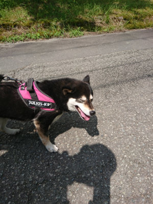 f:id:roukenhome-ann:20190726171316j:plain
