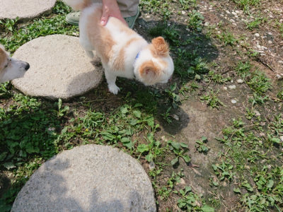 f:id:roukenhome-ann:20190726171352j:plain