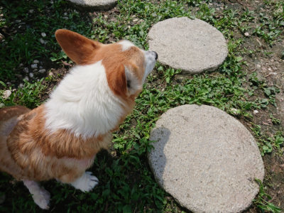 f:id:roukenhome-ann:20190726171356j:plain