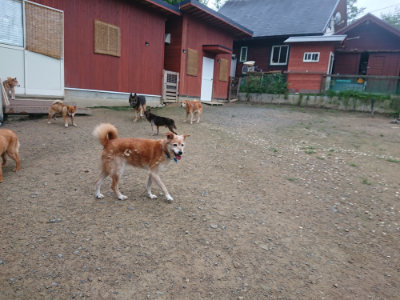 f:id:roukenhome-ann:20190728135306j:plain f:id:roukenhome-ann:20190728135306j:plain