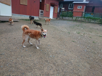 f:id:roukenhome-ann:20190728135310j:plain f:id:roukenhome-ann:20190728135310j:plain