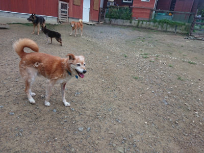 f:id:roukenhome-ann:20190728135315j:plain f:id:roukenhome-ann:20190728135315j:plain