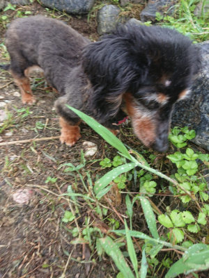f:id:roukenhome-ann:20190728135456j:plain f:id:roukenhome-ann:20190728135456j:plain