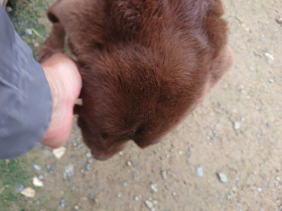 f:id:roukenhome-ann:20190728135546j:plain f:id:roukenhome-ann:20190728135546j:plain
