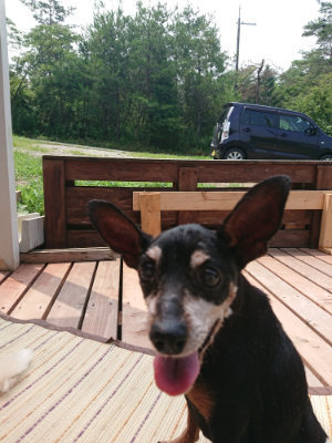 f:id:roukenhome-ann:20190728135807j:plain f:id:roukenhome-ann:20190728135807j:plain