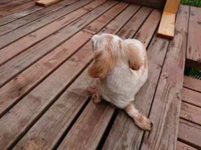 f:id:roukenhome-ann:20190728143300j:plain f:id:roukenhome-ann:20190728143300j:plain