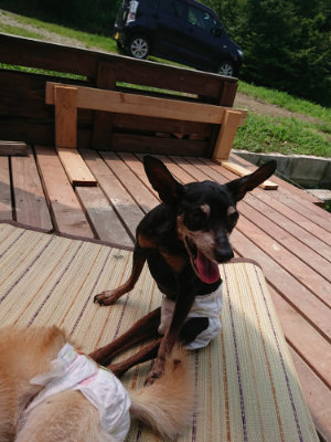 f:id:roukenhome-ann:20190728143314j:plain f:id:roukenhome-ann:20190728143314j:plain