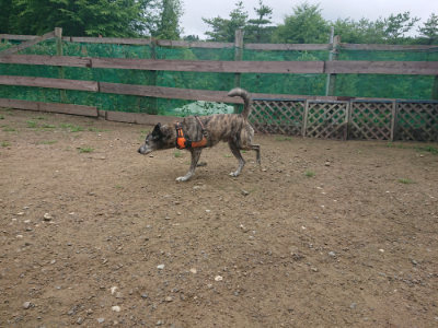 f:id:roukenhome-ann:20190728143343j:plain f:id:roukenhome-ann:20190728143343j:plain