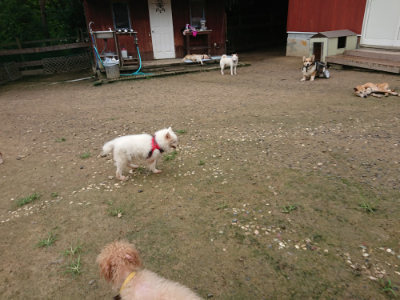 f:id:roukenhome-ann:20190728143405j:plain f:id:roukenhome-ann:20190728143405j:plain