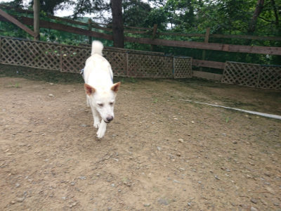 f:id:roukenhome-ann:20190728143428j:plain f:id:roukenhome-ann:20190728143428j:plain