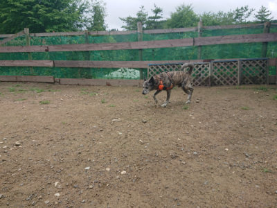 f:id:roukenhome-ann:20190728143453j:plain f:id:roukenhome-ann:20190728143453j:plain