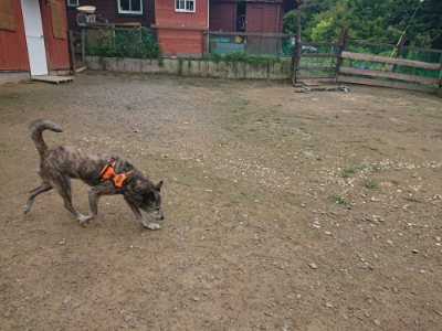 f:id:roukenhome-ann:20190728143511j:plain f:id:roukenhome-ann:20190728143511j:plain