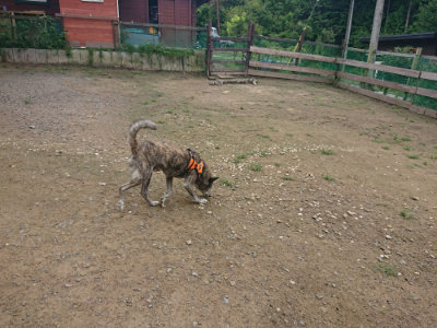 f:id:roukenhome-ann:20190728143516j:plain f:id:roukenhome-ann:20190728143516j:plain