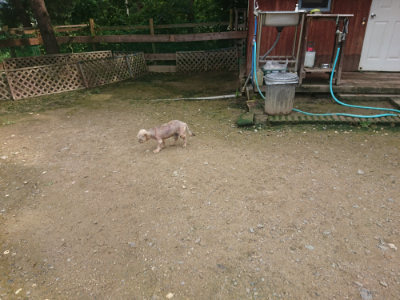 f:id:roukenhome-ann:20190728143522j:plain f:id:roukenhome-ann:20190728143522j:plain