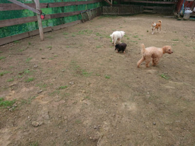 f:id:roukenhome-ann:20190728143534j:plain f:id:roukenhome-ann:20190728143534j:plain