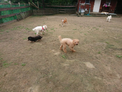 f:id:roukenhome-ann:20190728143540j:plain f:id:roukenhome-ann:20190728143540j:plain