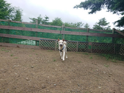f:id:roukenhome-ann:20190728143546j:plain f:id:roukenhome-ann:20190728143546j:plain