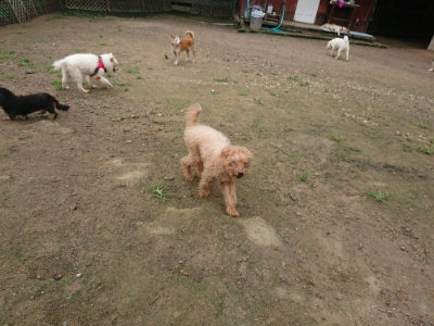 f:id:roukenhome-ann:20190728143600j:plain f:id:roukenhome-ann:20190728143600j:plain