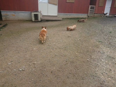 f:id:roukenhome-ann:20190728143615j:plain f:id:roukenhome-ann:20190728143615j:plain