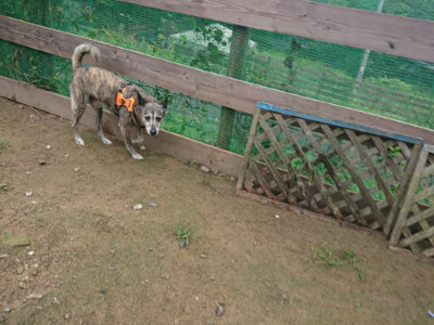 f:id:roukenhome-ann:20190728143631j:plain f:id:roukenhome-ann:20190728143631j:plain