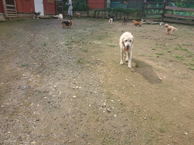 f:id:roukenhome-ann:20190728143636j:plain f:id:roukenhome-ann:20190728143636j:plain