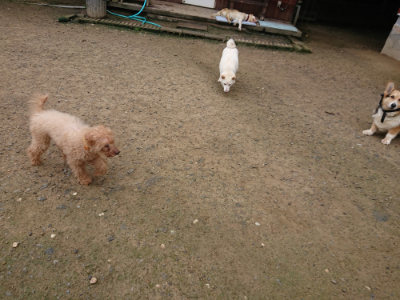 f:id:roukenhome-ann:20190728143646j:plain f:id:roukenhome-ann:20190728143646j:plain