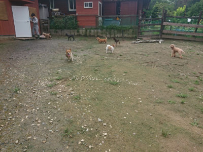 f:id:roukenhome-ann:20190728143700j:plain f:id:roukenhome-ann:20190728143700j:plain