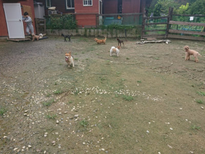 f:id:roukenhome-ann:20190728143713j:plain f:id:roukenhome-ann:20190728143713j:plain