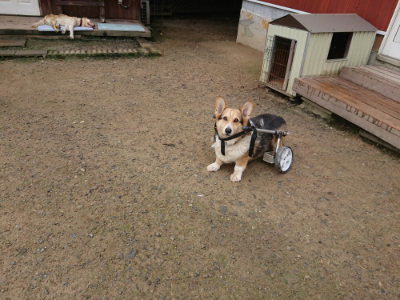 f:id:roukenhome-ann:20190728143720j:plain f:id:roukenhome-ann:20190728143720j:plain