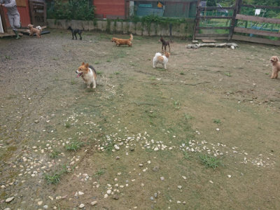 f:id:roukenhome-ann:20190728143736j:plain f:id:roukenhome-ann:20190728143736j:plain