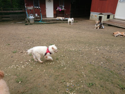 f:id:roukenhome-ann:20190728143741j:plain f:id:roukenhome-ann:20190728143741j:plain