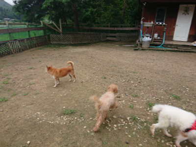 f:id:roukenhome-ann:20190728143747j:plain f:id:roukenhome-ann:20190728143747j:plain