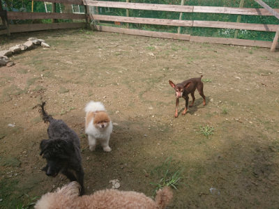 f:id:roukenhome-ann:20190728144029j:plain f:id:roukenhome-ann:20190728144029j:plain