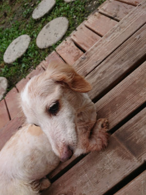 f:id:roukenhome-ann:20190728144041j:plain f:id:roukenhome-ann:20190728144041j:plain