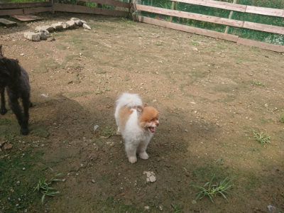 f:id:roukenhome-ann:20190728144252j:plain f:id:roukenhome-ann:20190728144252j:plain