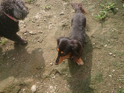 f:id:roukenhome-ann:20190728144347j:plain f:id:roukenhome-ann:20190728144347j:plain