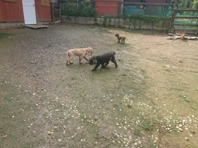 f:id:roukenhome-ann:20190728144353j:plain f:id:roukenhome-ann:20190728144353j:plain