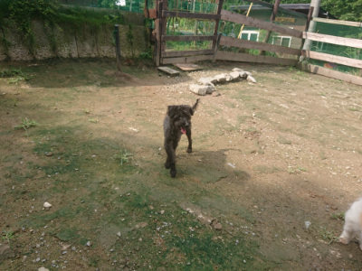 f:id:roukenhome-ann:20190728144408j:plain f:id:roukenhome-ann:20190728144408j:plain