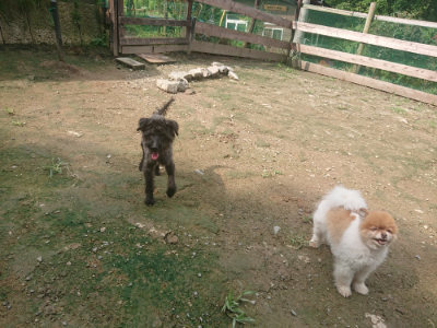 f:id:roukenhome-ann:20190728144420j:plain f:id:roukenhome-ann:20190728144420j:plain