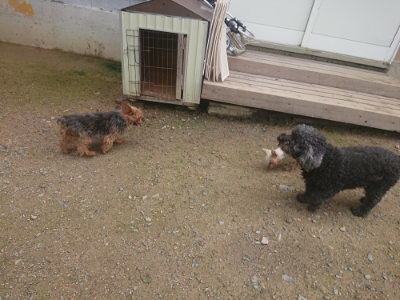 f:id:roukenhome-ann:20190728144430j:plain f:id:roukenhome-ann:20190728144430j:plain